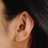 Oor als basis voor auriculotherapie